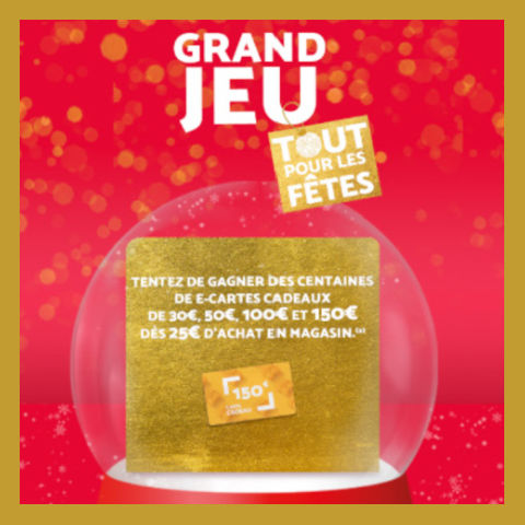 www.netto.fr/toutpourlesfetes - code jeu Netto tout pour les ftes